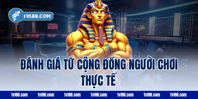 Đánh giá từ cộng đồng người chơi thực tế