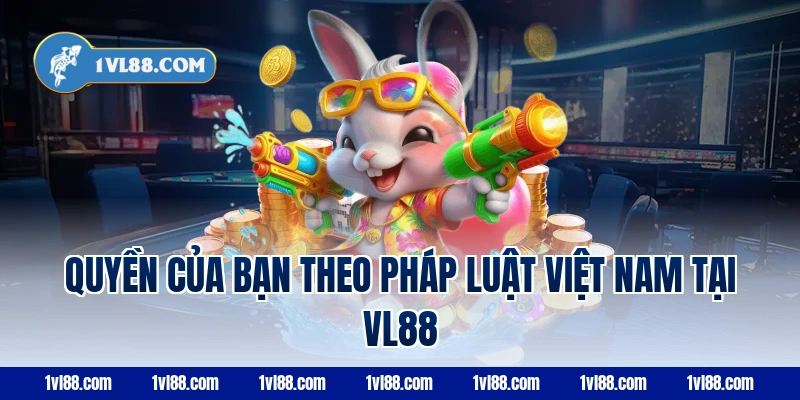 Quyền của bạn theo pháp luật Việt Nam tại VL88